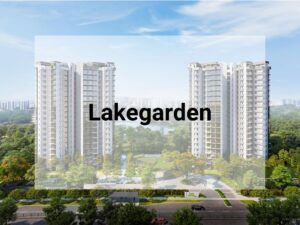 Lakegarden 2